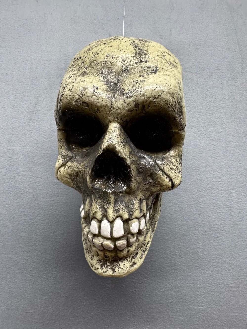 Plastic Blow-mold Human Skull 8.5" Halloween Decor
